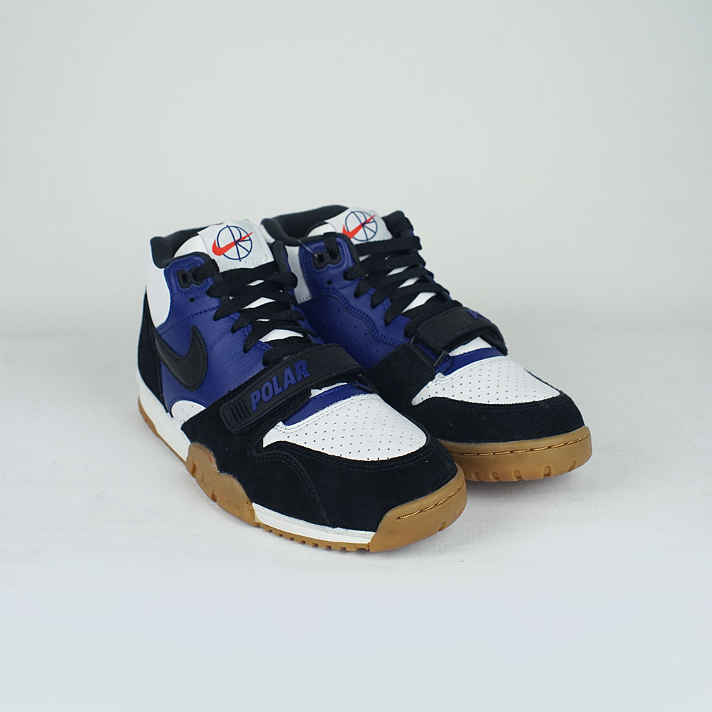 nike sb x polar