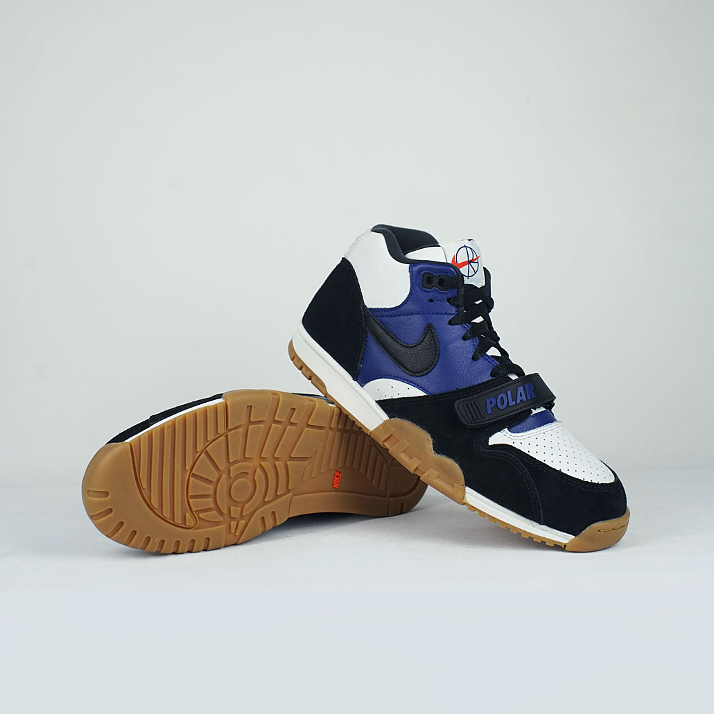 nike sb x polar air trainer 1