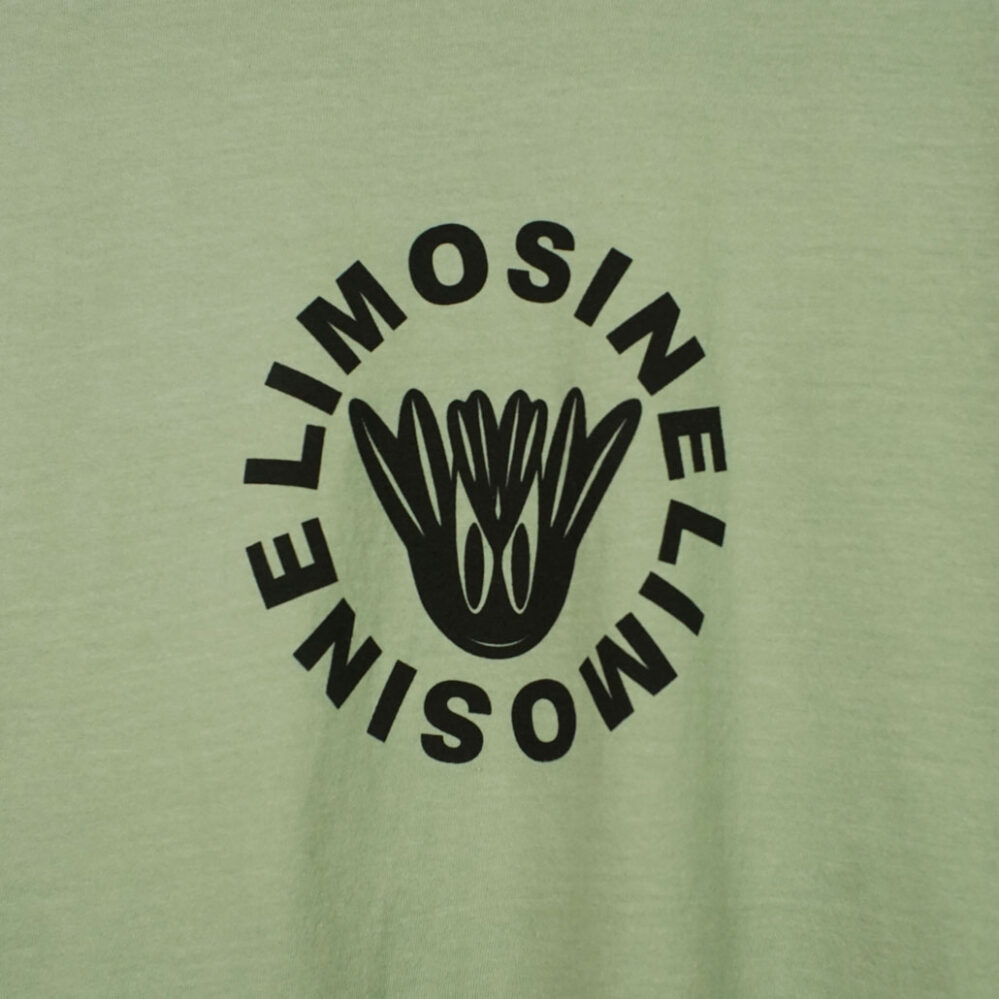 Limosine Skateboards Paymaster T-Shirt Pigment Dyed Aqua Grey