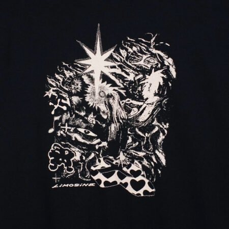 Limosine Skateboards Hail Fail T-Shirt Black Limosine Skateboards Hail Fail T-Shirt Black