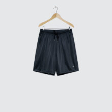 Polar Skate Co. Ray Shorts Navy