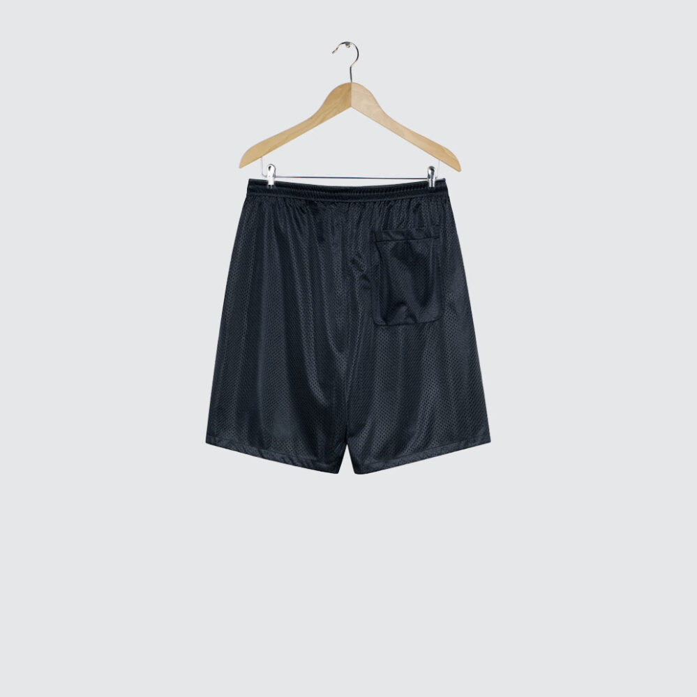 Polar Skate Co. Ray Shorts Navy