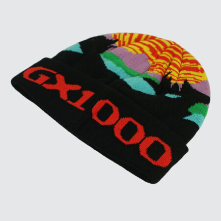 Fucking Awesome PBS Logo Cuff Beanie Black - LOBBY Online