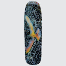 Polar Skate Co. Team Searching for Peace P9 8.625”