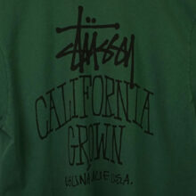 Stüssy Cali Grown Pig. Dyed T-Shirt Pine