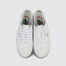 Vans Skate Authentic True White